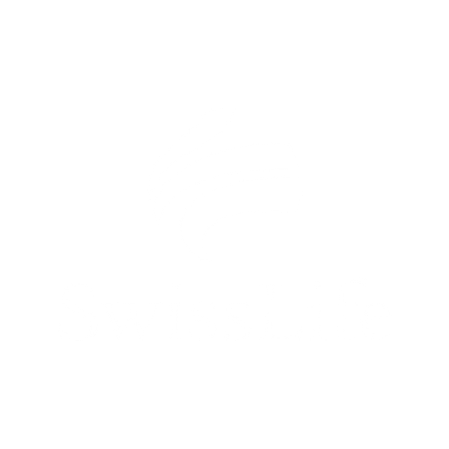 Swiss Life – Referenzkunde von Karo Kanaltechnik